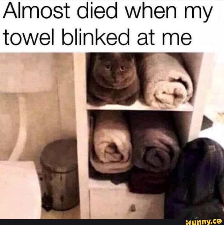 Almost died when my
towel blinked at me