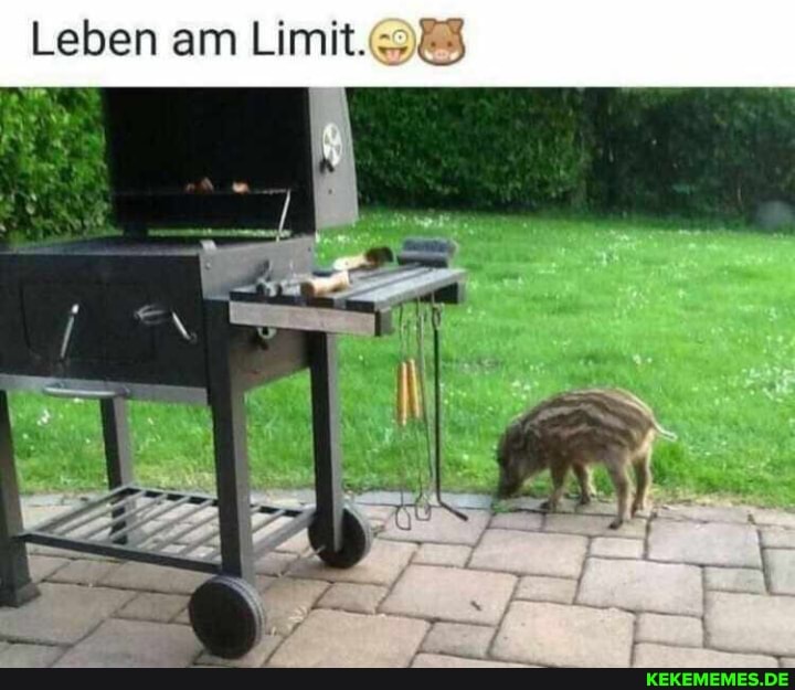 Leben am Limit.