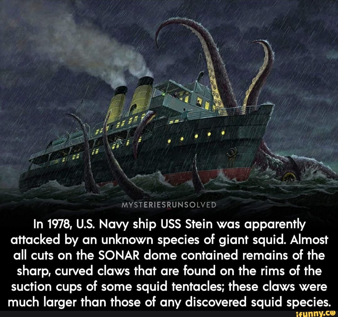MYSTERIESRUNSOLVED In 1978, U.S. Navy ship USS Stein was apparently