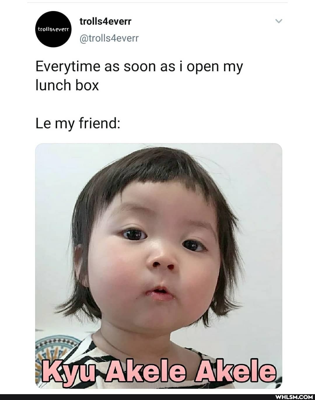 trolls4everr
everytime as soon as open my lunch box
Le my friend:
Akele