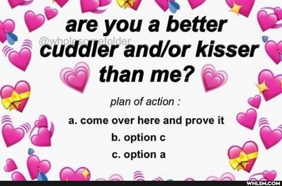 are you a better cuddier kisser
@ than me?
plan of action :
a. come over here and prove it b. option c c. option a
\ Sa