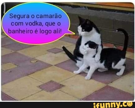 Segura o camarão
com vodka, que o
Ê banheiro é logo ali!