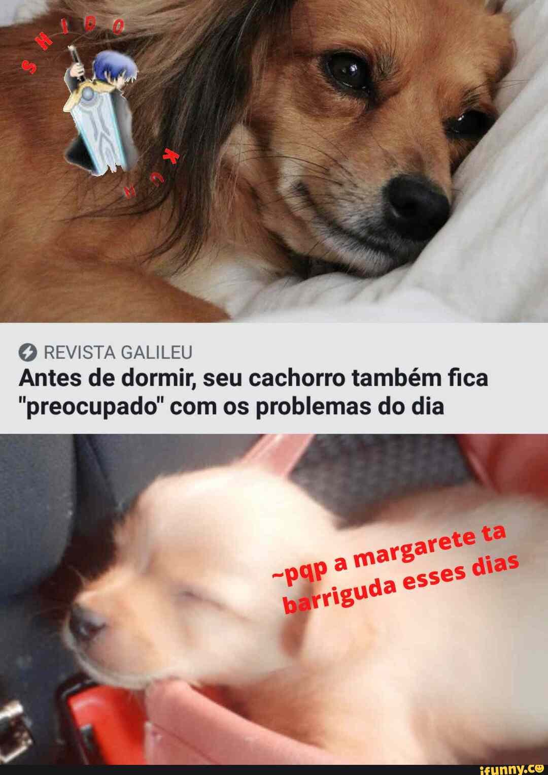 REVISTA GALILEU Antes de dormir, seu cachorro também fica
"preocupado" com os problemas do dia