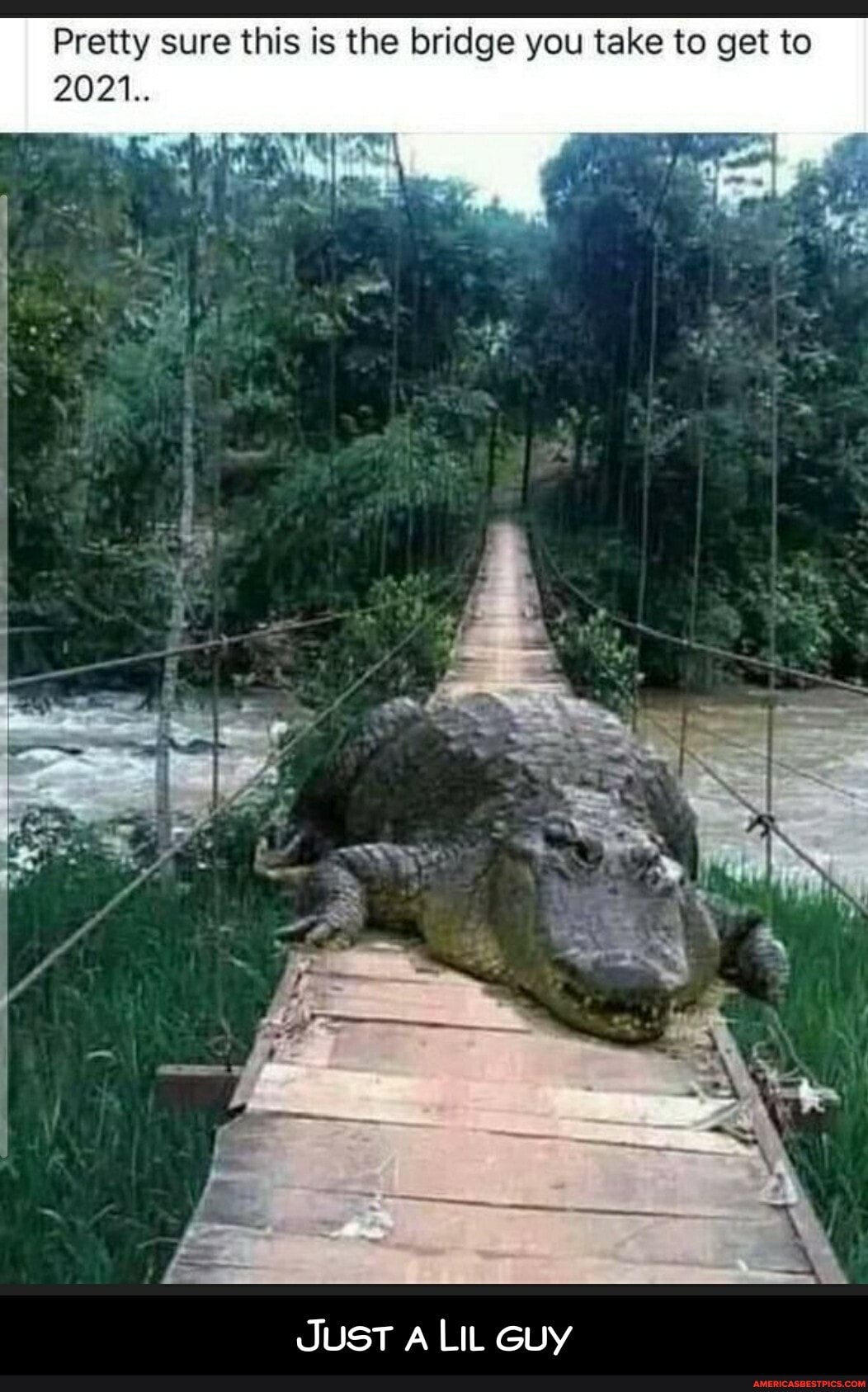 Pretty sure this is the bridge you take to get to
2021..
JUST A LIL GUy - Just a Lil guy