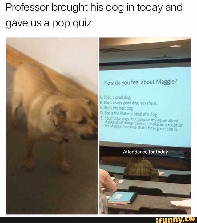 Professor brought his dog in today and gave us a pop quiz
How do you feel about Maggie?
spite my generalized anel how gremhe
Attendance for today