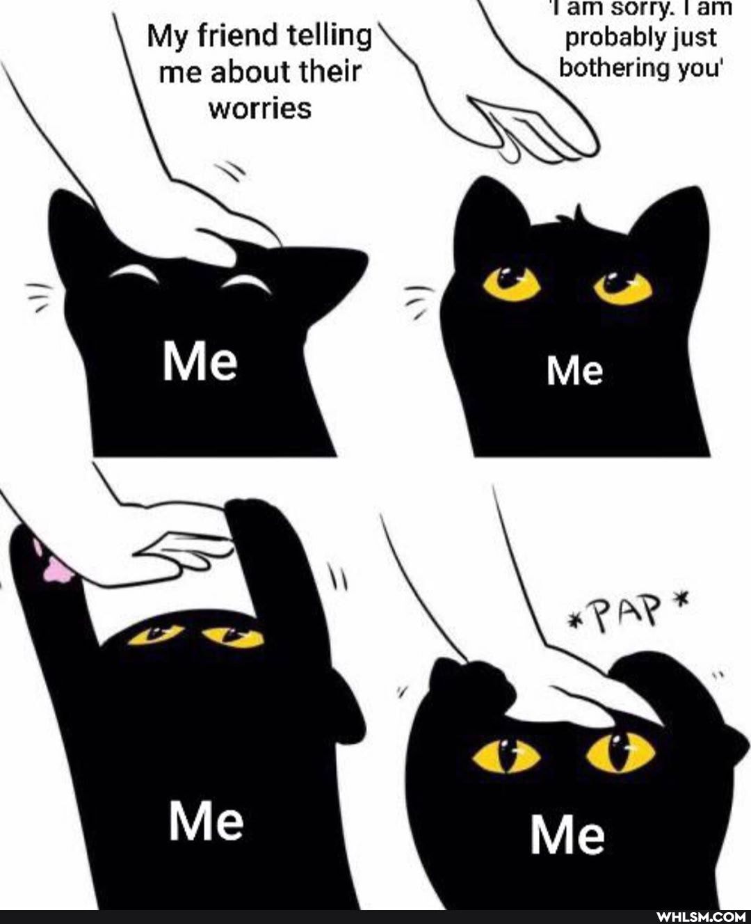 tam sorry. 'am
My friend telling probably just me about their bothering you'
worries II PAR