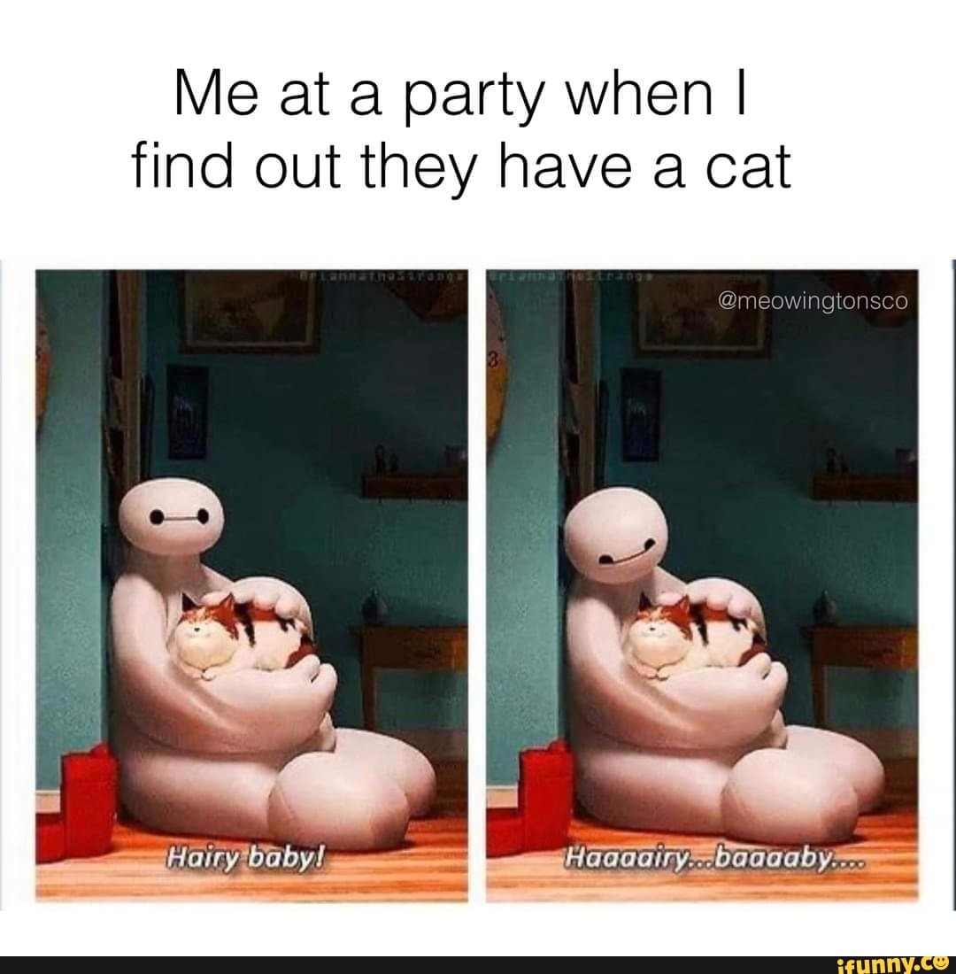 Me at a party when I find out they have a cat
@meowingtonsco