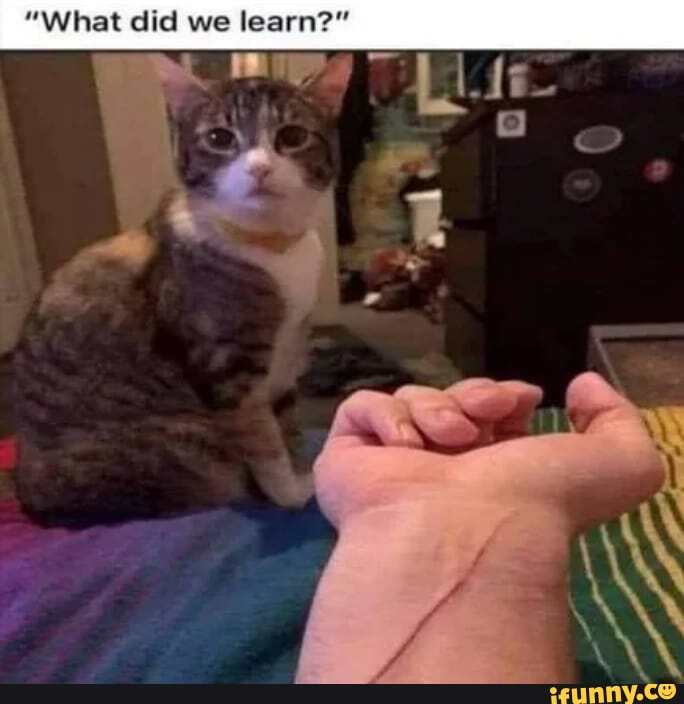 "What did we learn?"
WW