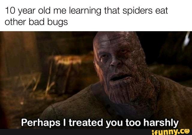 10 year old me learning that spiders eat other bad bugs
Perhaps I treated you too harshly