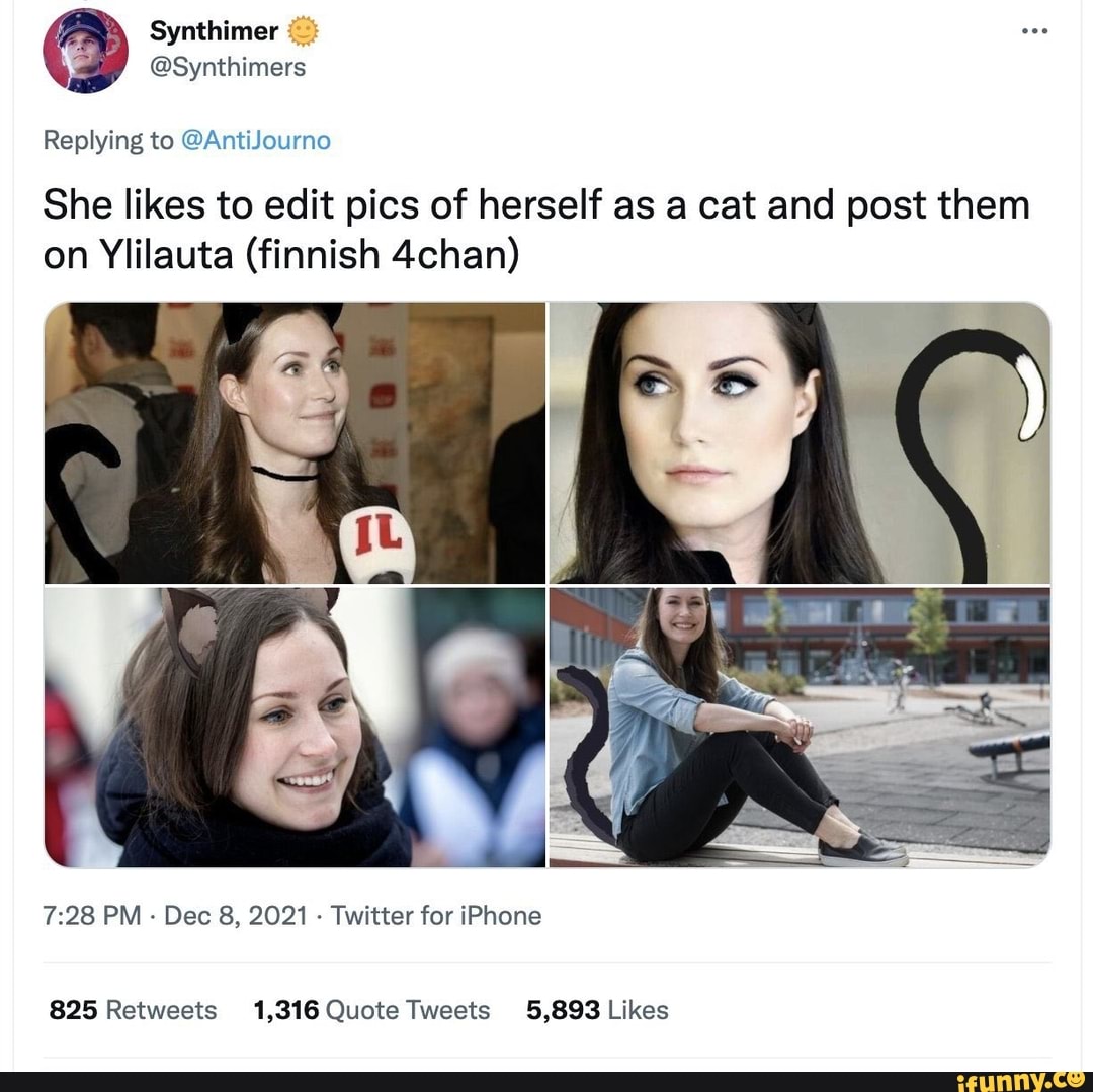 Replying to She likes to edit pics of herself as a cat and post them on  Ylilauta (finnish 4chan) PM - Dec 8, 2021 - Twitter for iPhone - iFunny  Brazil