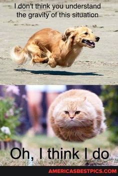 I.don't think you understand the gravity of this situation.
h think