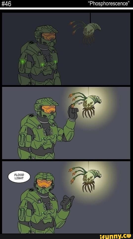 Man arrested for training dog to throw bricks at people ringing his