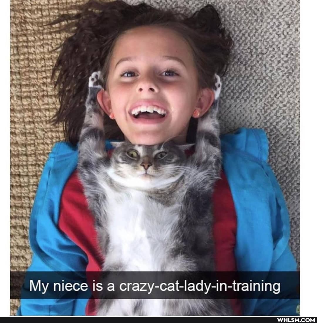ow
My niece is a crazy-cat-lady-in-training