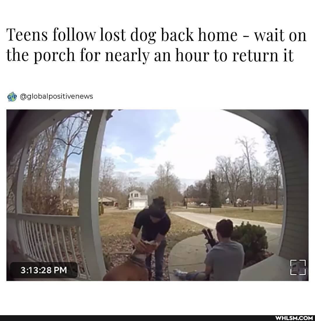 Teens follow lost dog back home - wait on the porch for nearly an hour to return it
@globalpositivenews
PM