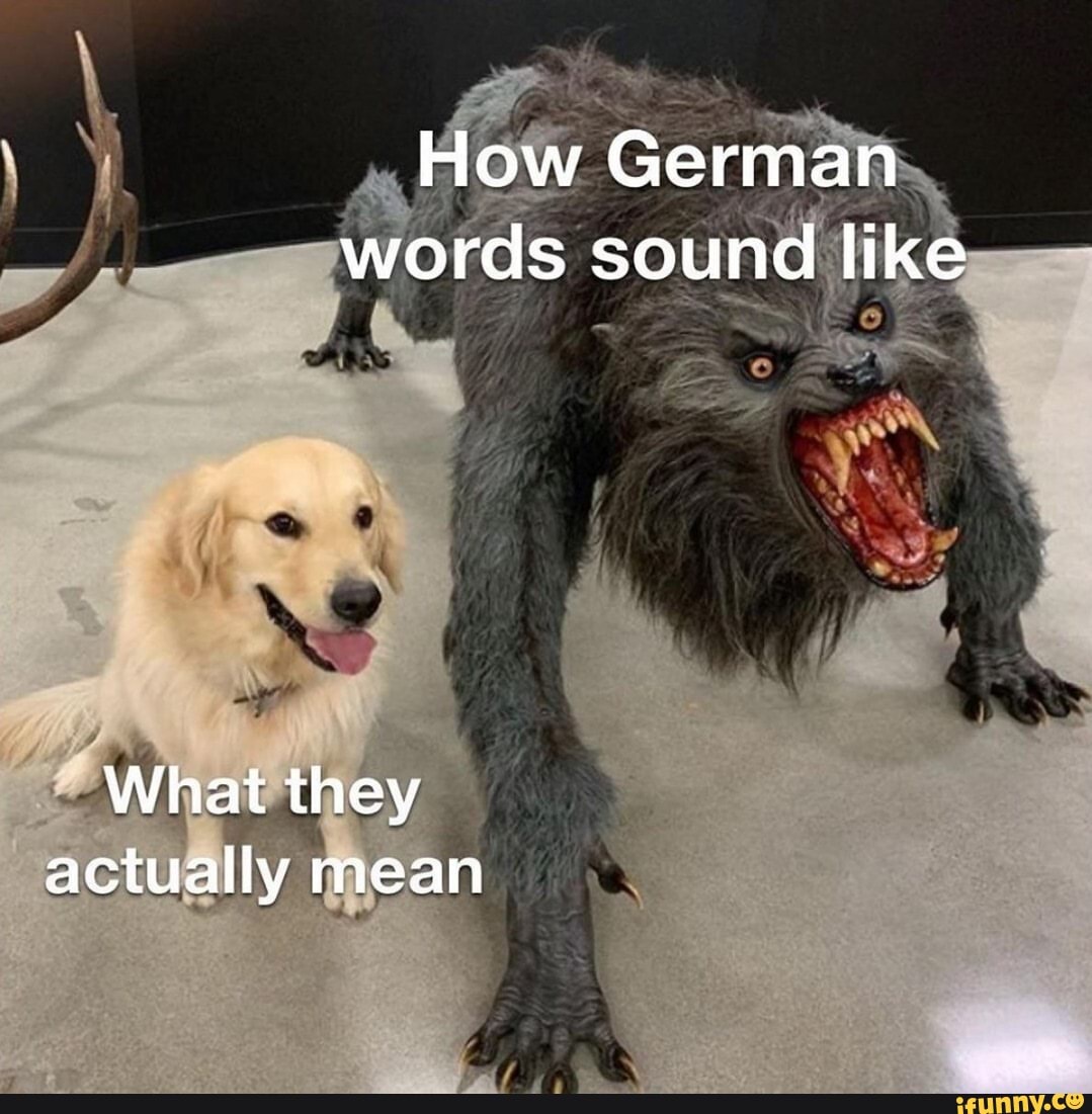 How German words sound like What they actually mean iFunny
