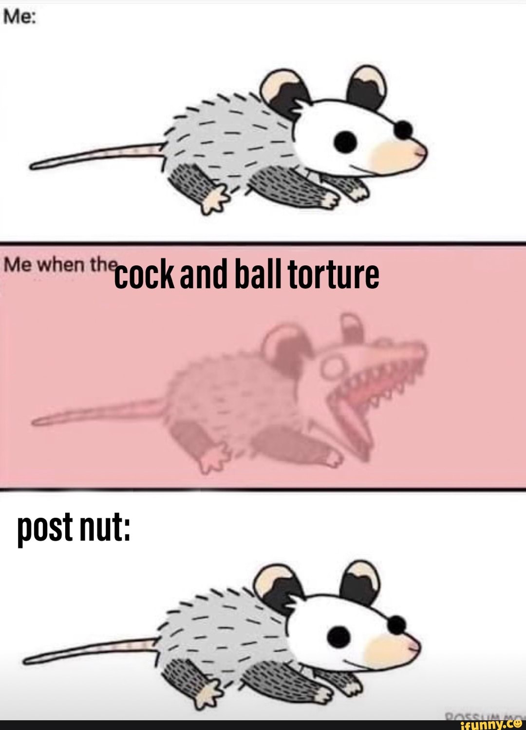 Me: Me when and ball torture post nut: - iFunny