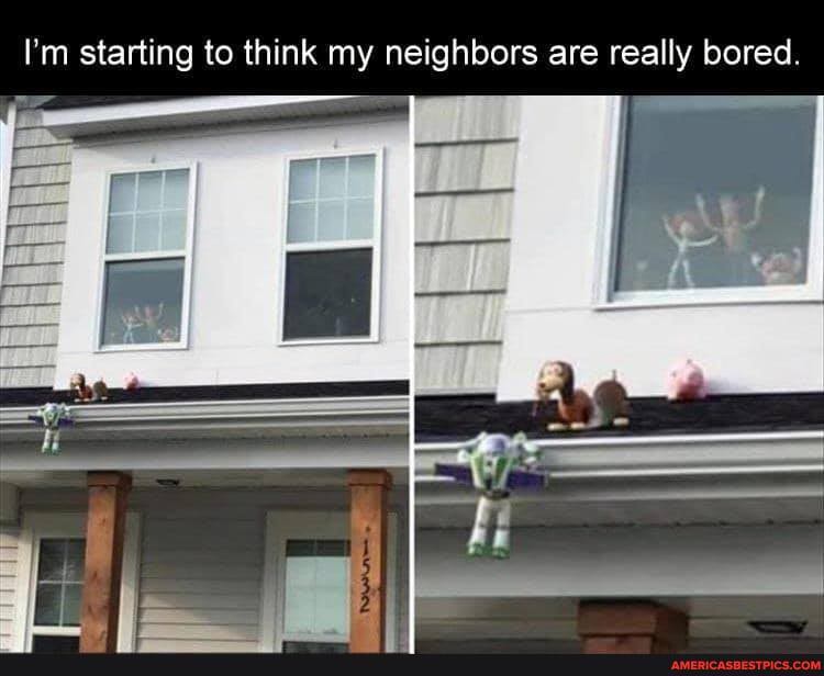 I'm starting to think my neighbors are really bored.