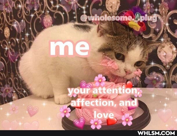 me
your attention, affection, and love