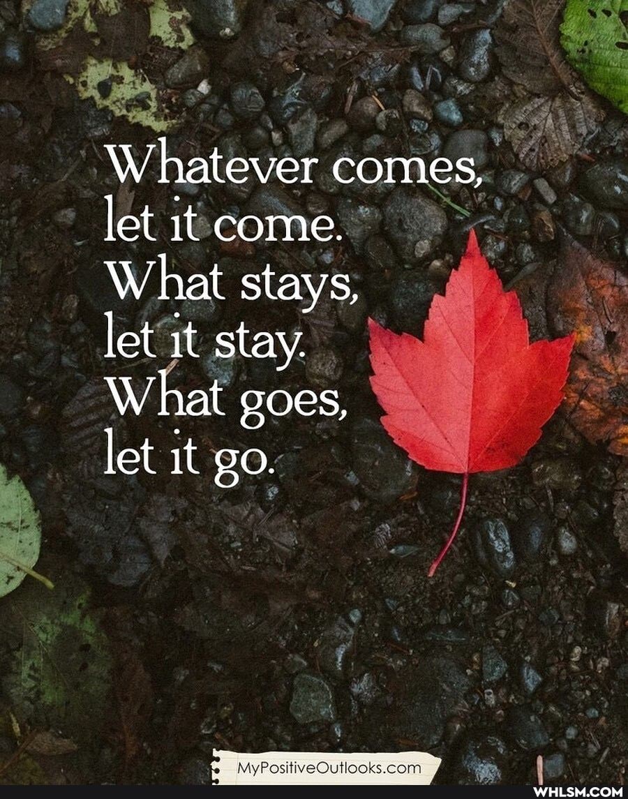 Whatever comes, let come.
What stays,
let it stay.
What goes,
let it go.