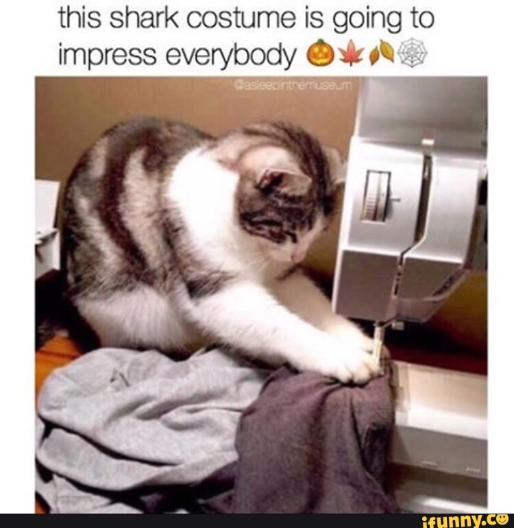 this shark costume is going to impress everybody Ox