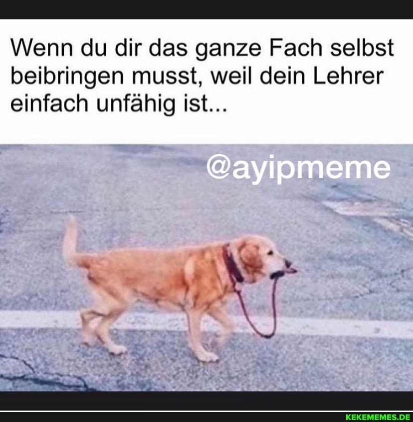 Wenn du dir das ganze Fach selbst beibringen musst, weil dein Lehrer einfach unfähig ist...
@ayipmeme
TINTEN
