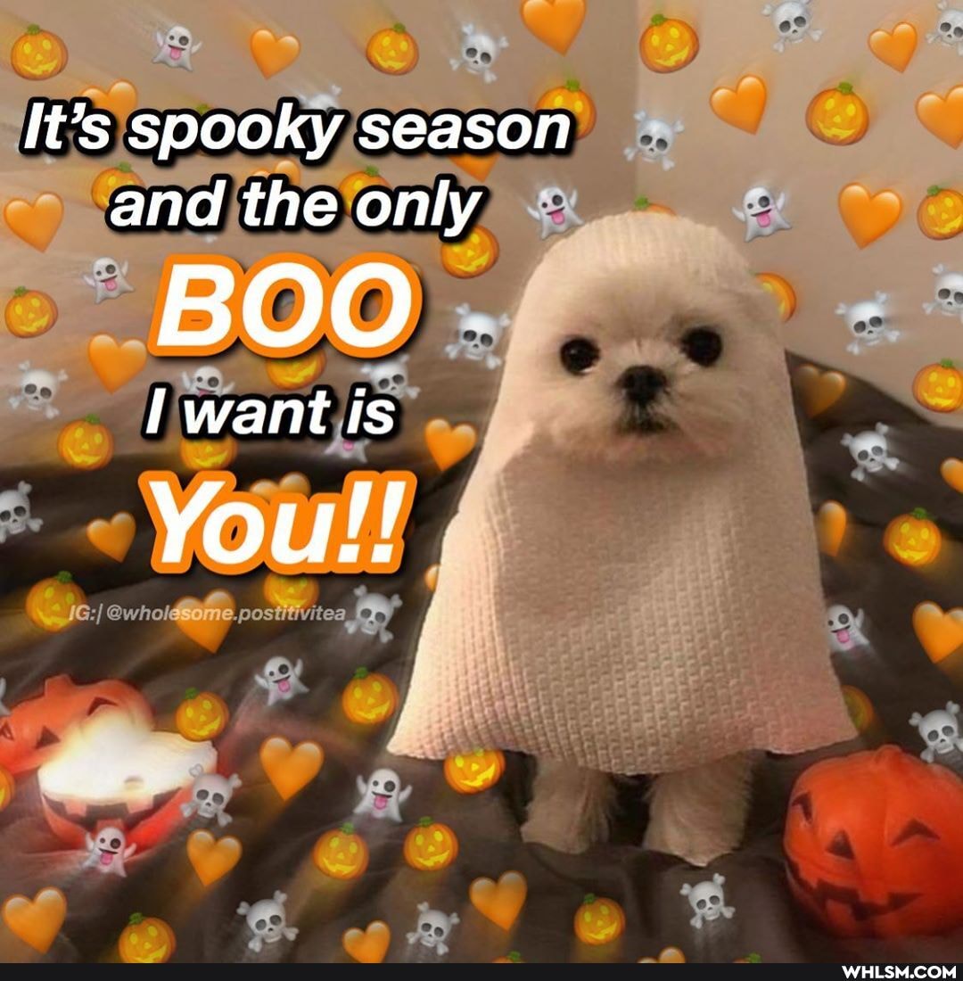It's spooky season and the only ad
BOO
want is
You!!