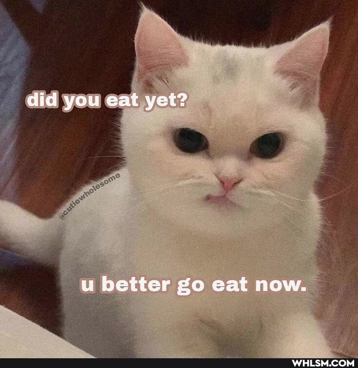 did you eat yet?
u better go eat now.