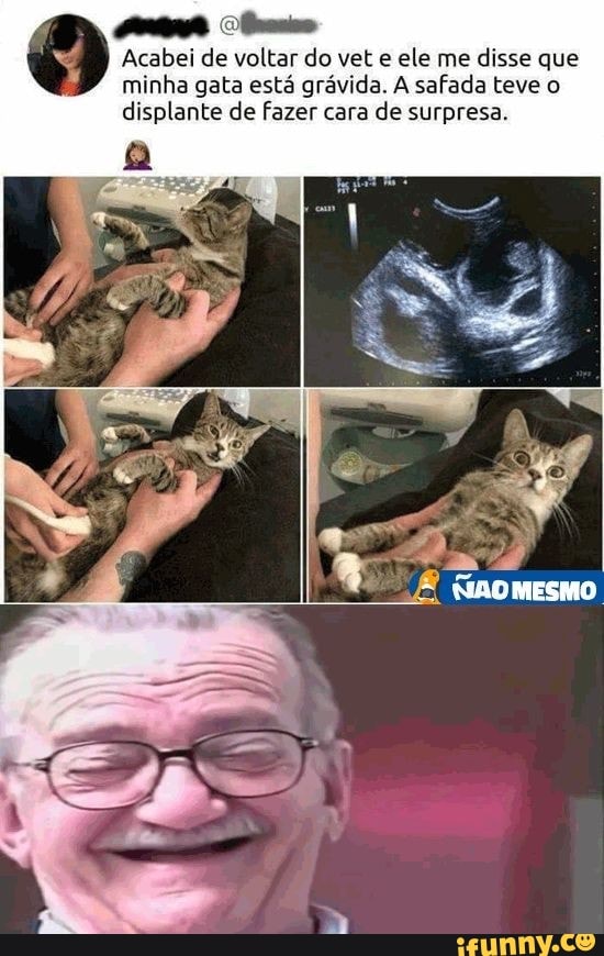 Acabei de voltar do vet e
ele me
disse que
minha gata está grávida. A safada teve o
displante de fazer cara de surpresa.