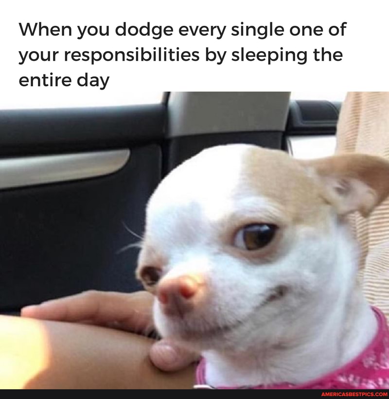 When you dodge every single one of your responsibilities by sleeping the entire day