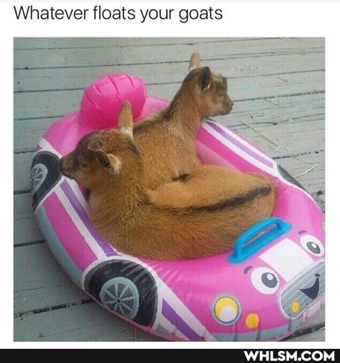 Whatever floats your goats