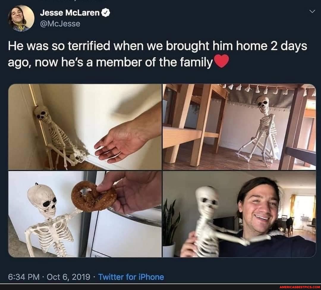 Jesse McLaren @
He was so terrified when we brought him home 2 days ago, now he's a member of the family
R-2A DAA. Or+ R ON10 . Twitter far iDpAanca