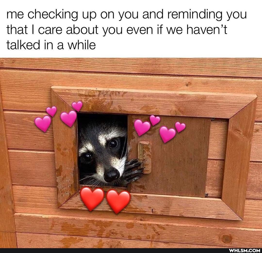 me checking up on you and reminding you that I care about you even if we haven't talked in a while
SS