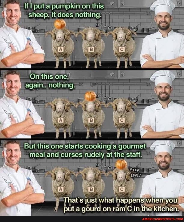 puta pumpkin on this sheep, it does nothing.
On one' again.. nothing.
But this one starts cooking a gourmet meal and curses rudely at the staff.
That's just what happens in the you