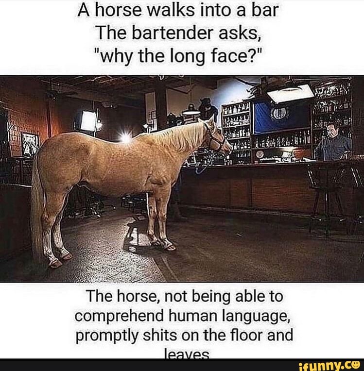 a-horse-walks-into-a-bar-the-bartender-asks-why-the-long-face-the