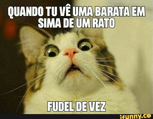 QUANDO TU VÊ UMAIBAF
SUMA
UMA