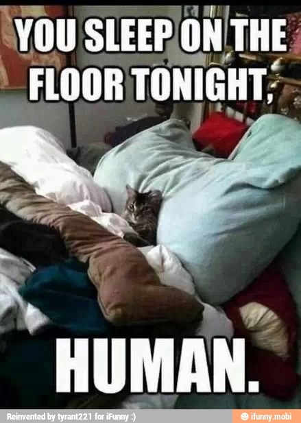 ¡YOU SLEEPJON. THE; FLOOR TONIGHT;