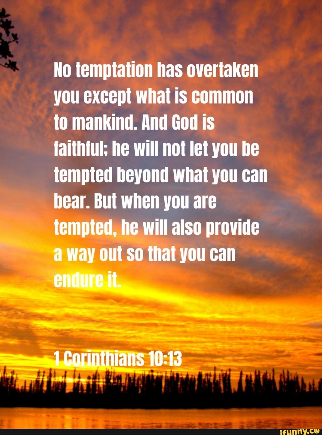 No temptation has overtaken you except what is common to mankind. And ...