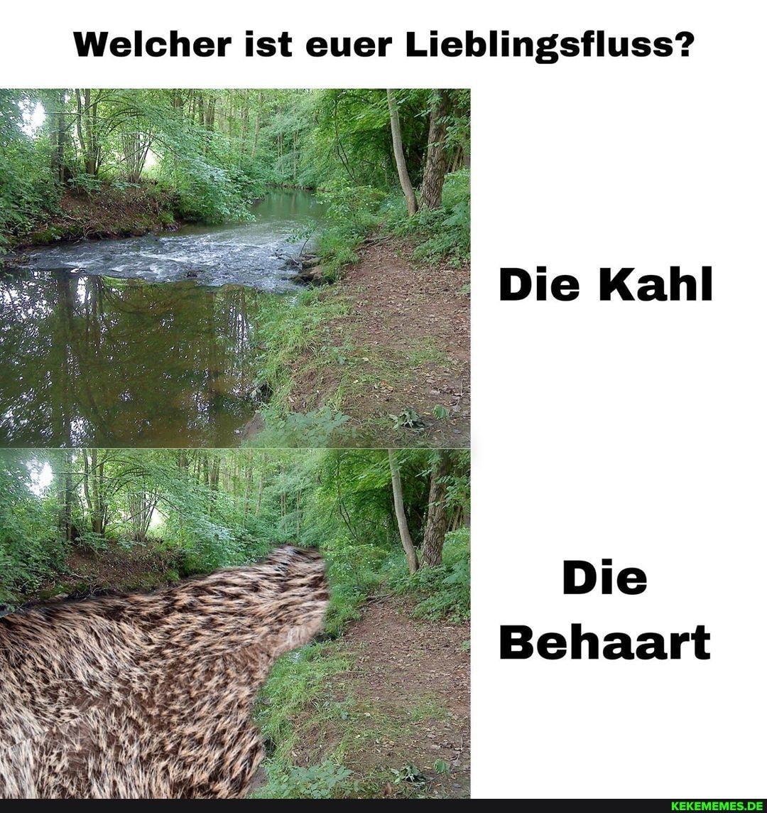 Welcher ist euer Lieblingsfluss?
Die Kahl
Die
Behaart