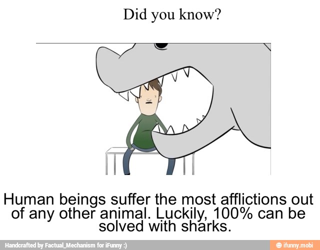 Did you know?
Human beings suffer the most afflictions out
of any other animal. Luckily, 100% can be
solved with sharks.