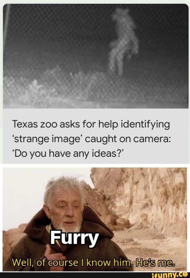 Texas Zoo Asks For Help Identifying 'strange Image' Caught On Camera ...