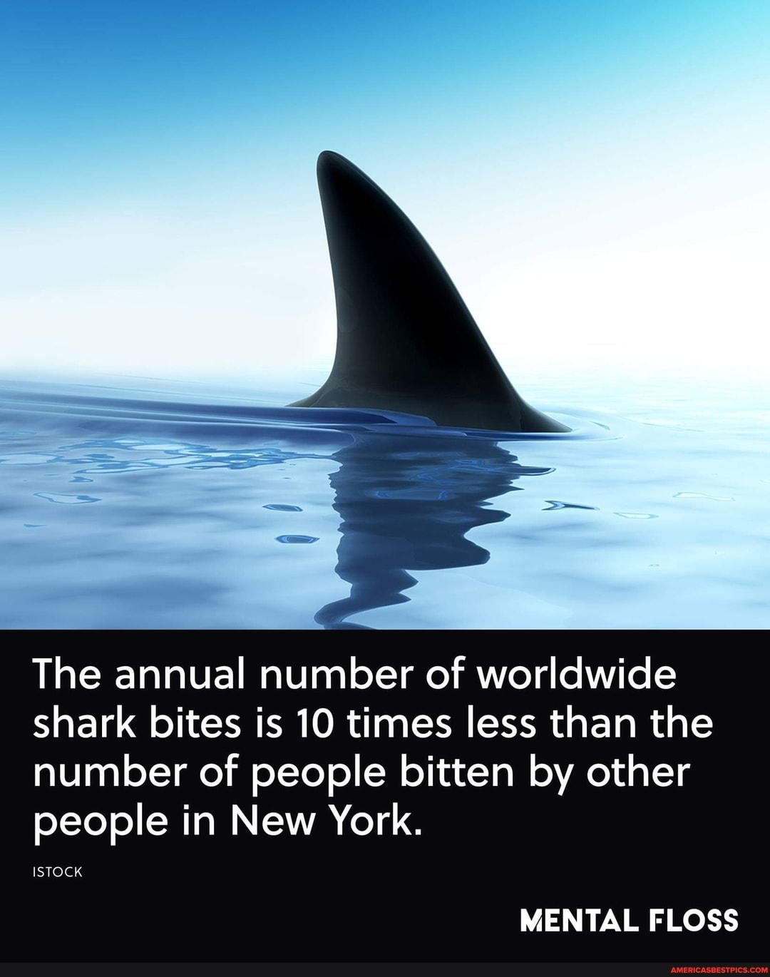 The annual number of worldwide shark bites is 10 times less than the number of people bitten by other people in New York.
ISTOCK
MENTAL FLOSS
