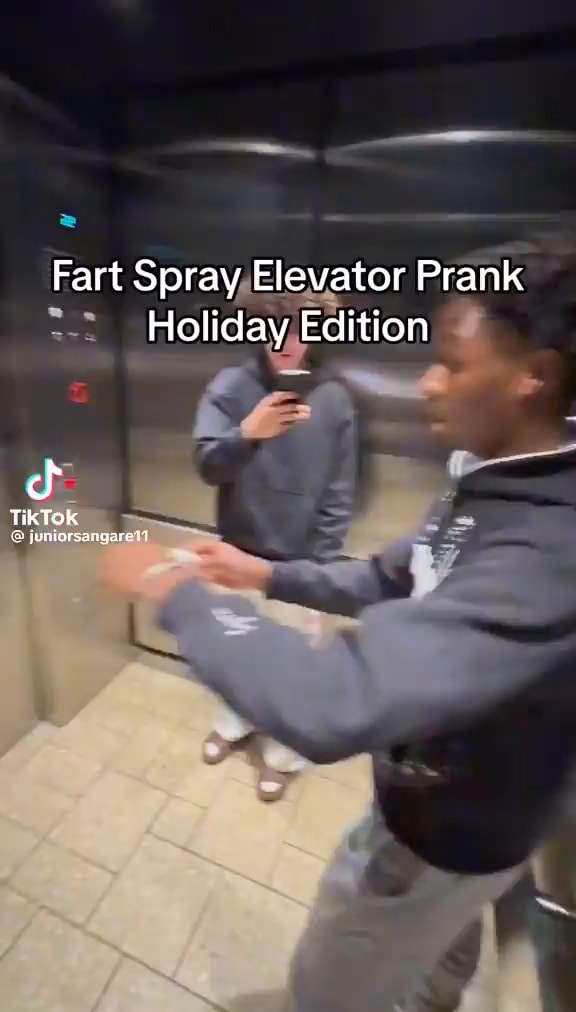 FART SPRAY-DOMESTIC VERSION 