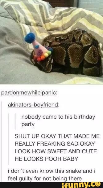 akmators-boymend:
nobody came to hxs bmhday
SHUT UP OKAY THAT MADE ME
REALLY FREAKING SAD OKAY
LOOK HOW SWEET AND CUTE
HE LOOKS POOR BABV
don't even know mis snake and i
feel guilly for nm being there