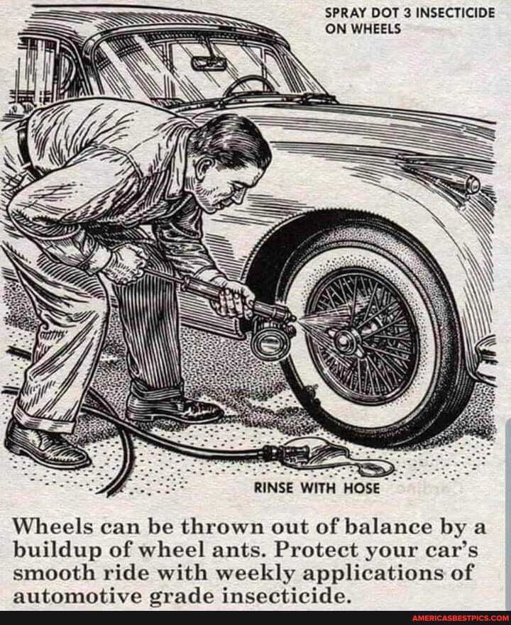 SPRAY DOT 3 INSECTICIDE ON WHEELS
RINSE WITH HOSE
Wheels can be thrown out of balance by a buildup of wheel ants. Protect your car's smooth ride with weekly applications of