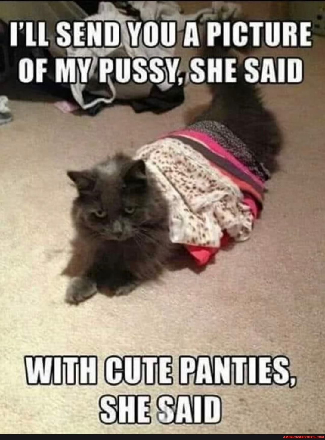 PLE SERD YOU PICTURE MY PUSSY. SHE SAIL
CUTE PARTIES.
SHE AID