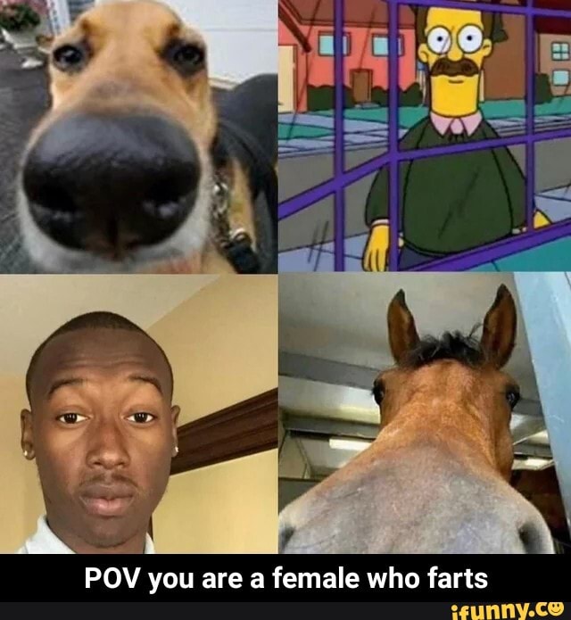 Pov Fart