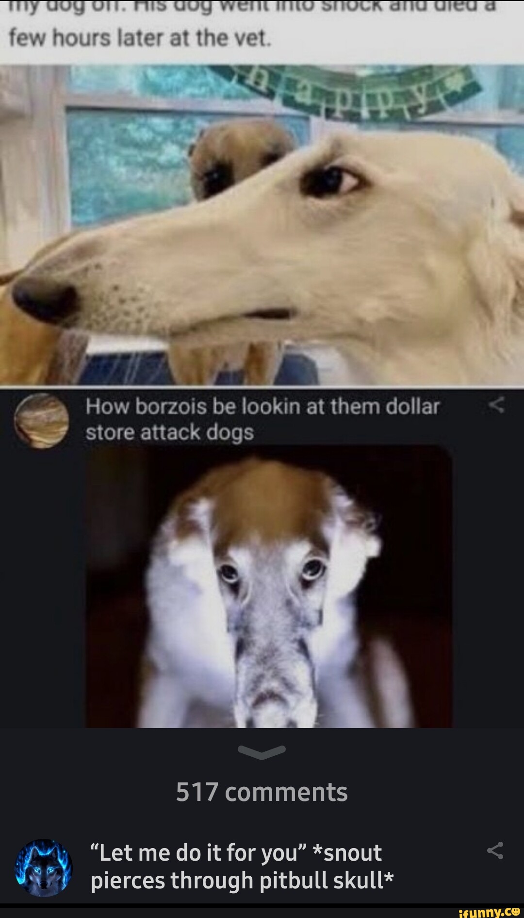 How borzois be lookin at them dollar store attack dogs 517 comments
