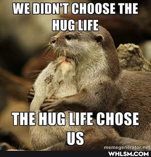 WE DIDN'T CHOOSE THE HUG LIFE
THE HUG LIFE CHOSE us