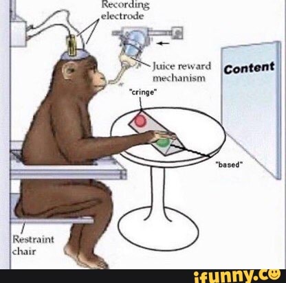 Recording, electrode Juice reward mechanism - iFunny