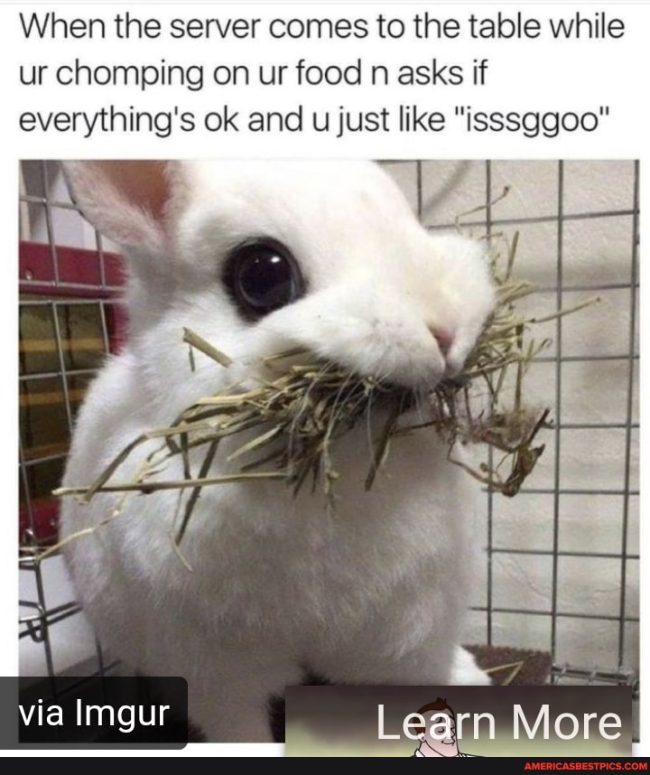 When the server comes to the table while ur chomping on ur food n asks if everything's ok and u just like "isssggoo"
via Imgur